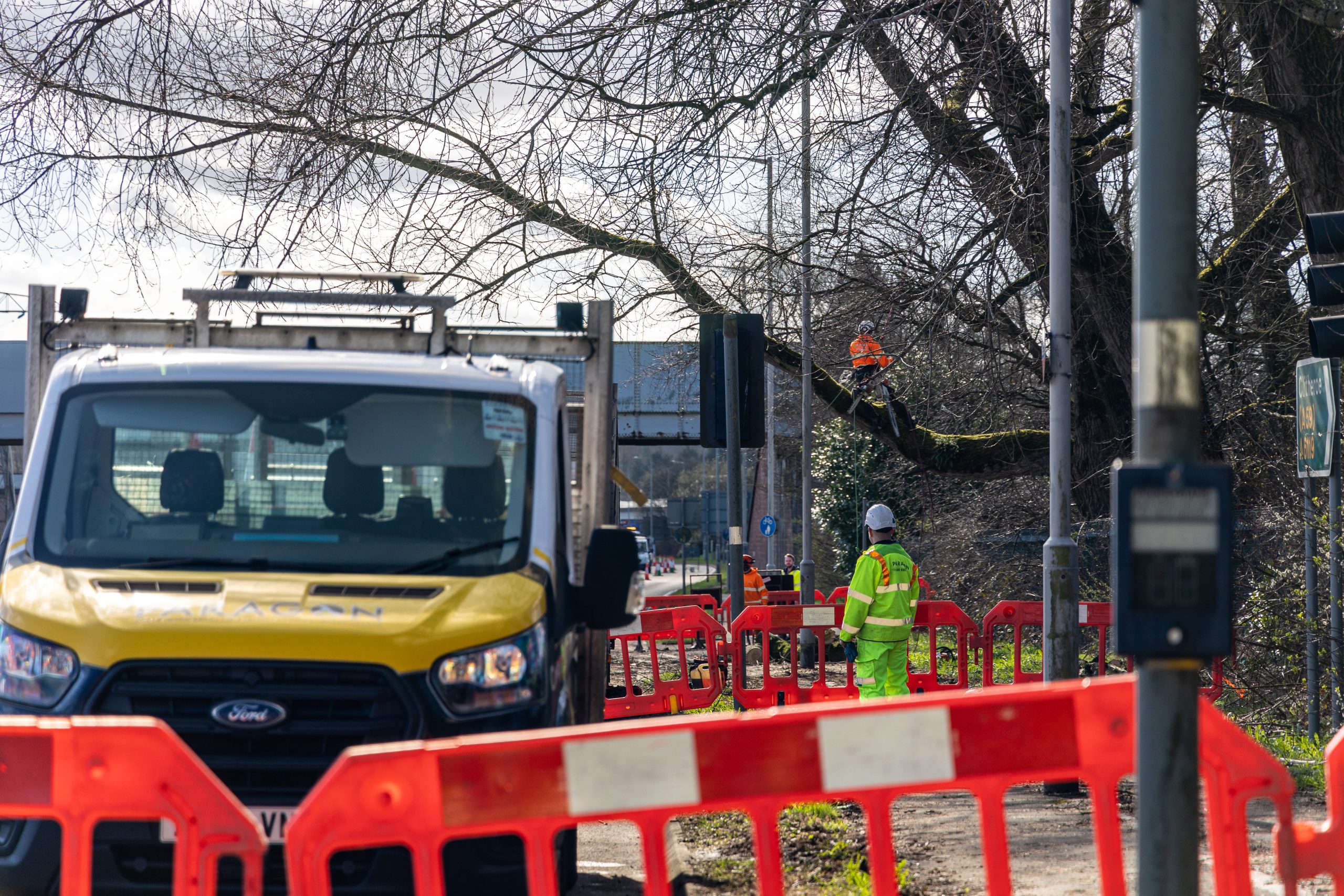 Tree surgeons at work within a safe work site with a paragon traffic management operative looking on