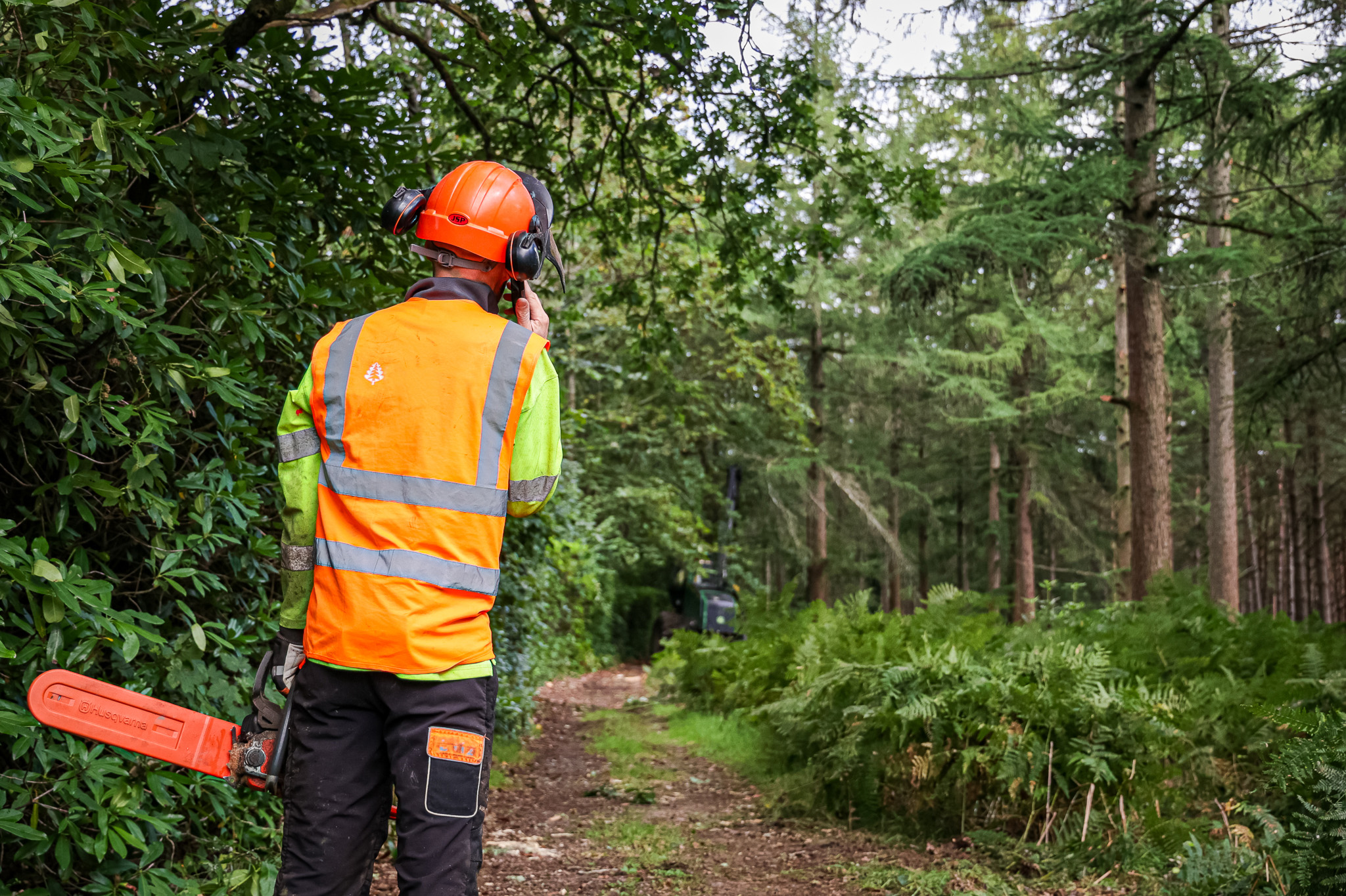 Tree Felling Project at Paragon Traffic Management