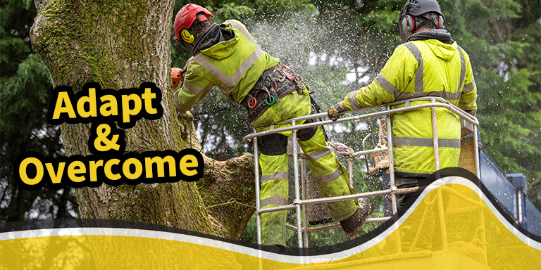 Tree Felling Case Study